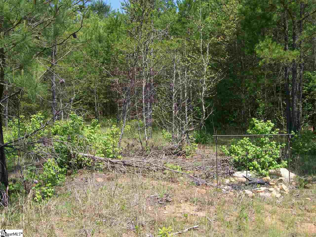 1950 State Rd S-42-396 Enoree, SC 29335 - Photo 11 of 25 Gallery Image 11