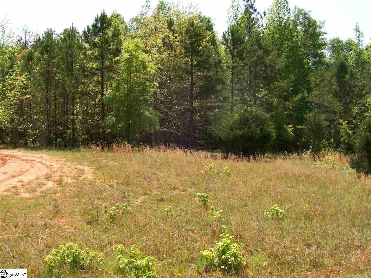 1950 State Rd S-42-396 Enoree, SC 29335 - Photo 13 of 25 Gallery Image 13