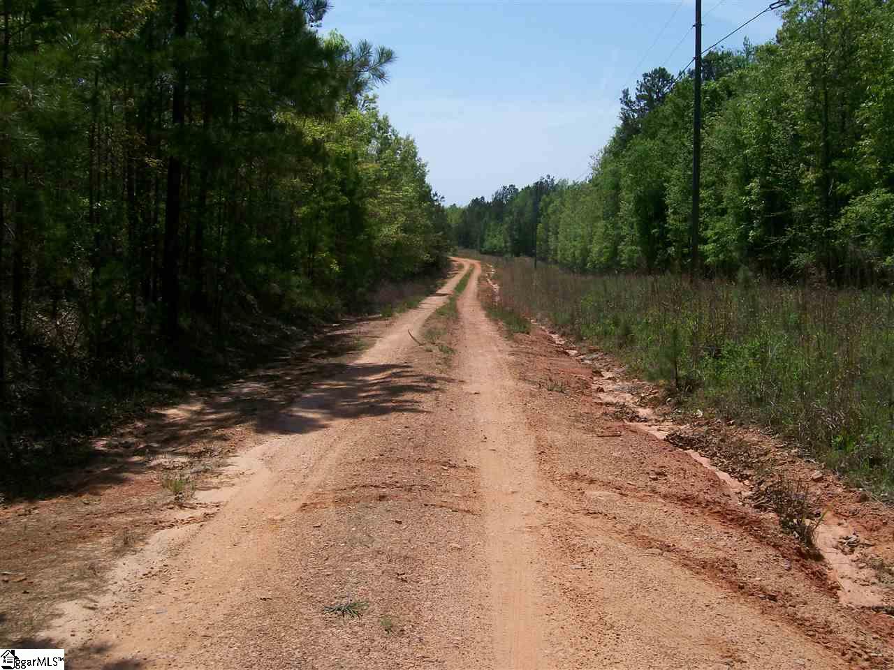 1950 State Rd S-42-396 Enoree, SC 29335 - Photo 17 of 25 Gallery Image 17
