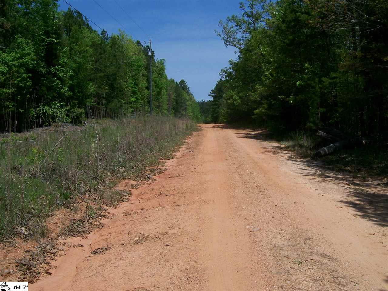 1950 State Rd S-42-396 Enoree, SC 29335 - Photo 18 of 25 Gallery Image 18