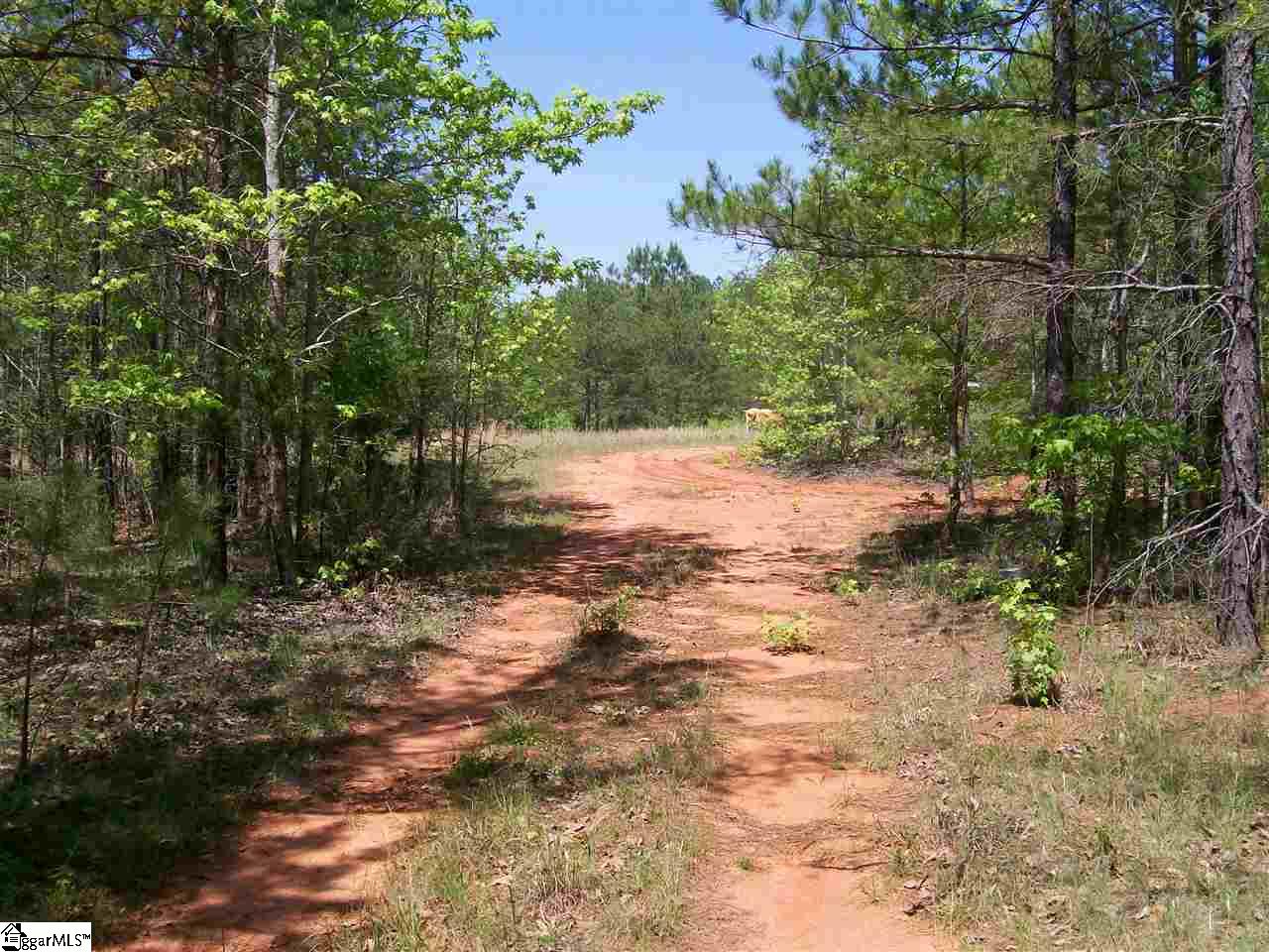 1950 State Rd S-42-396 Enoree, SC 29335 - Photo 6 of 25 Gallery Image 6