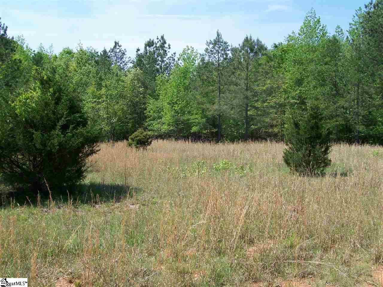 1950 State Rd S-42-396 Enoree, SC 29335 - Photo 8 of 25 Gallery Image 8