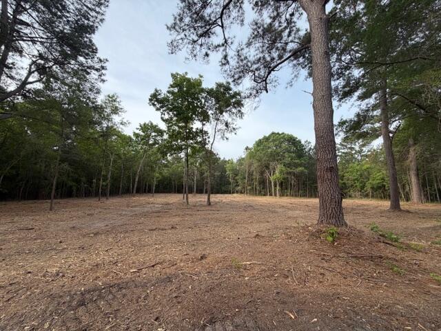 3 Trojan Road Cross, SC 29436 - Photo 7 of 21