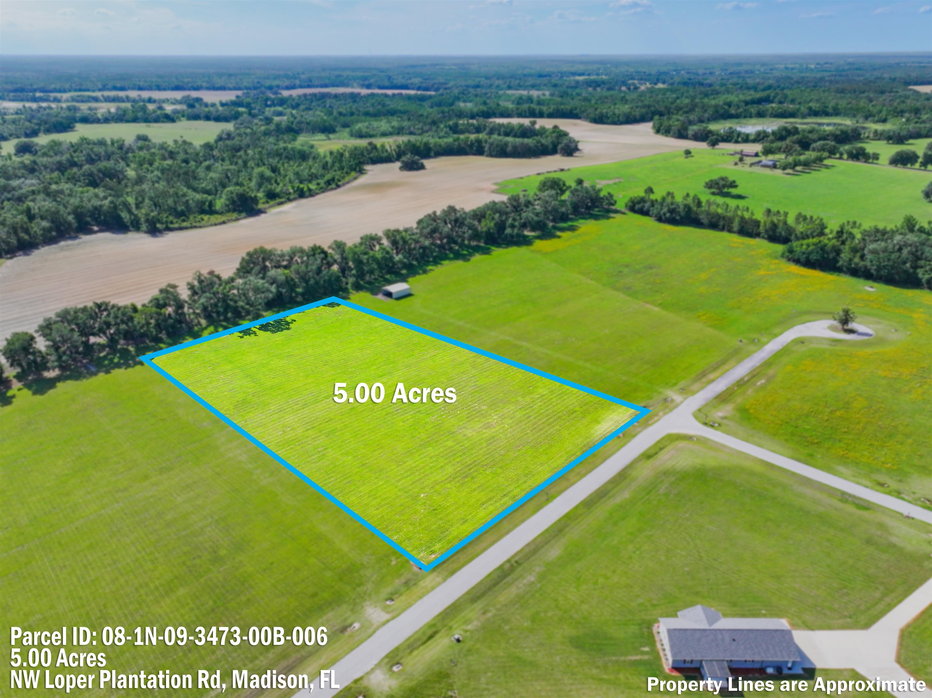 0 Northwest Loper Plantation Road Madison, FL 32340 - Photo 13 of 16