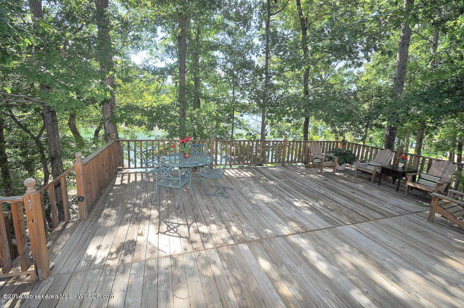 144 Lone Oak Road Jasper, AL 35504 - Photo 4 of 25 Gallery Image 4