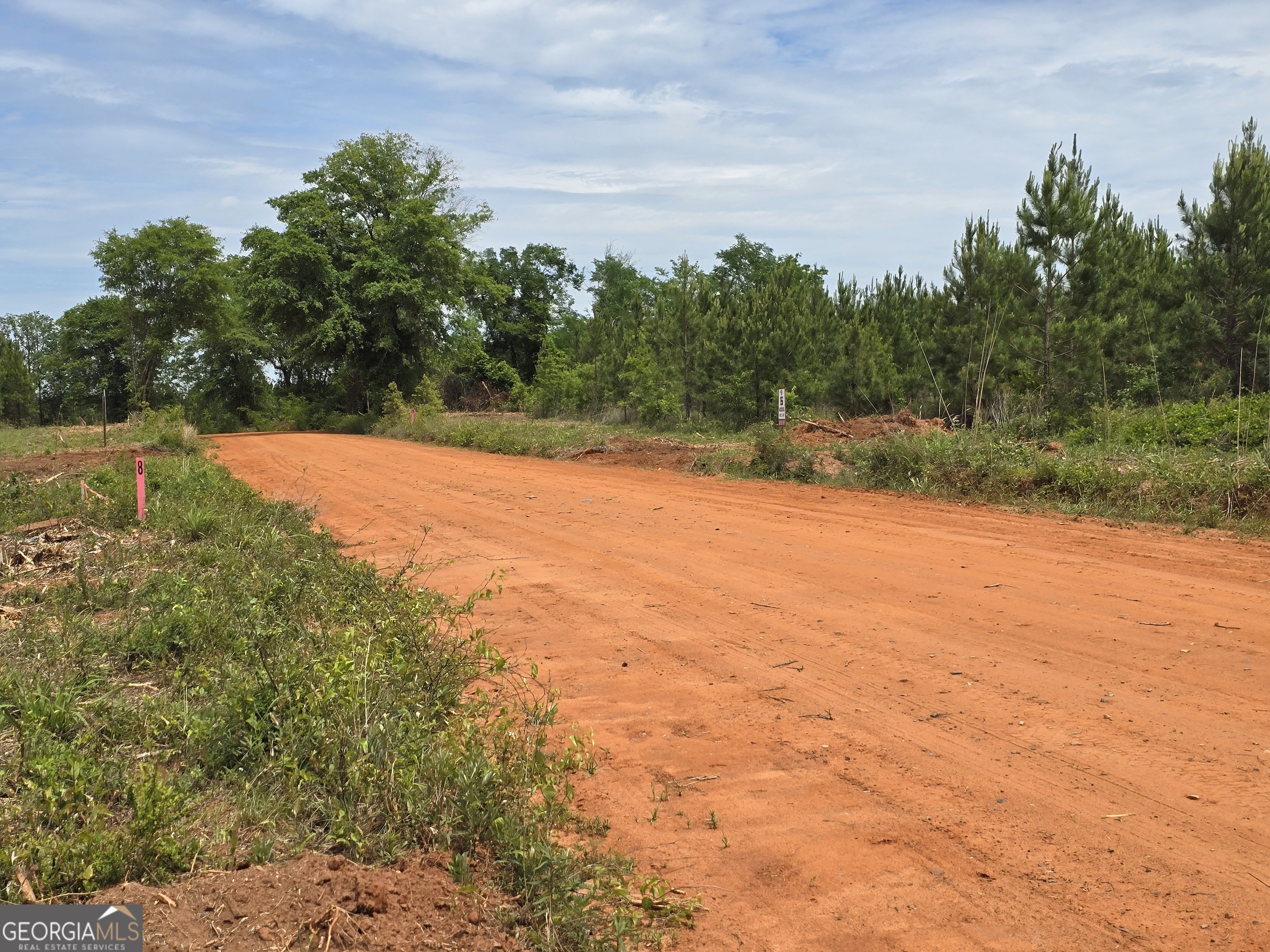 35 Beckwith Road Ellaville, GA 31806 - Photo 2 of 6 a view of a yard with a house in the background