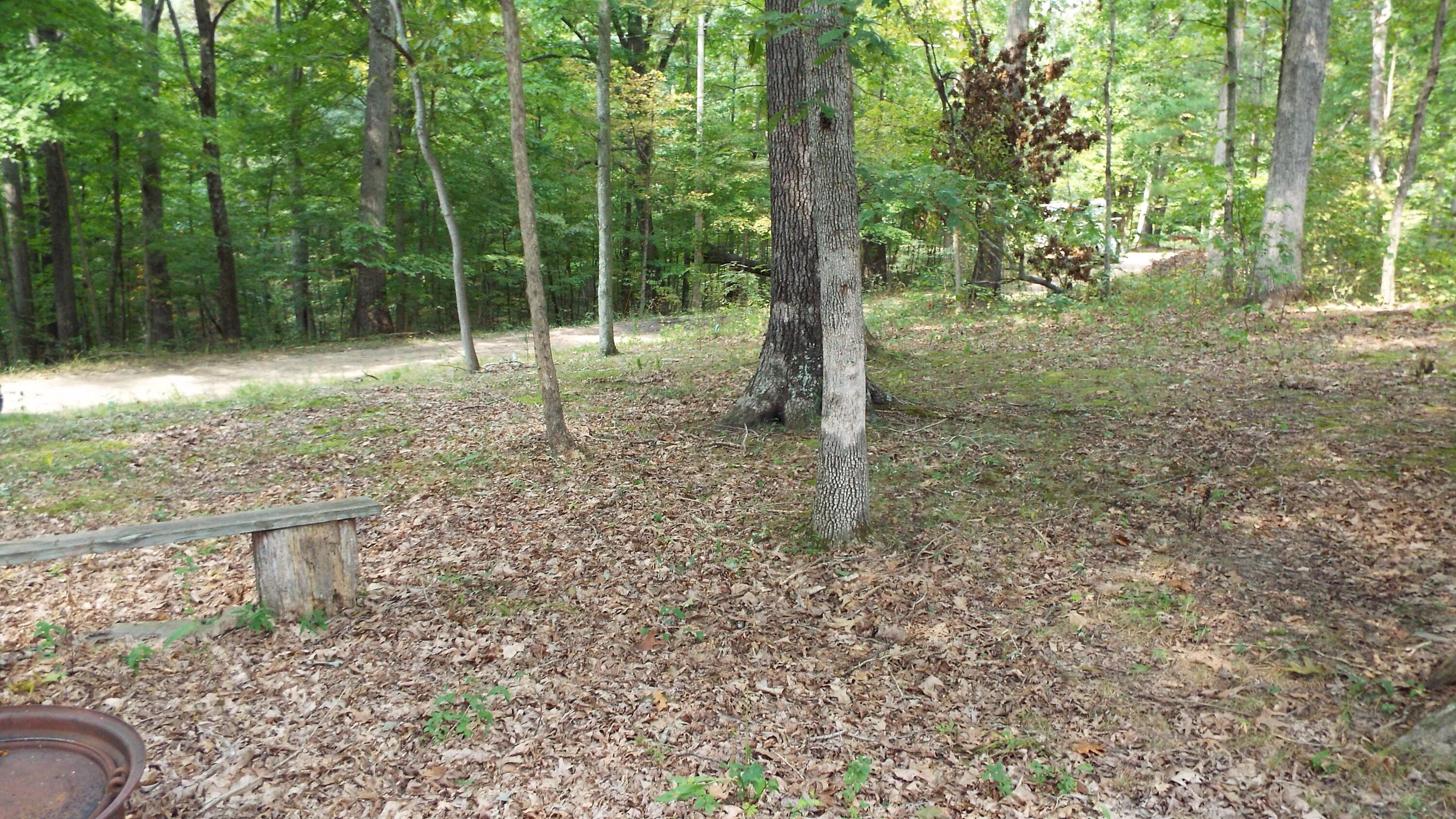 0 Red Maple Road Glouster, OH 45732 - Photo 10 of 16 Plenty of cleared area for expansion