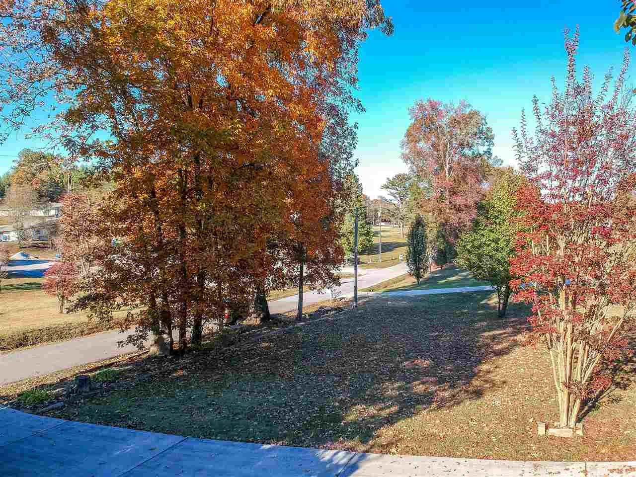 695 Dreamland Road Spring City, TN 37381 - Photo 44 of 46 Gallery Image 44