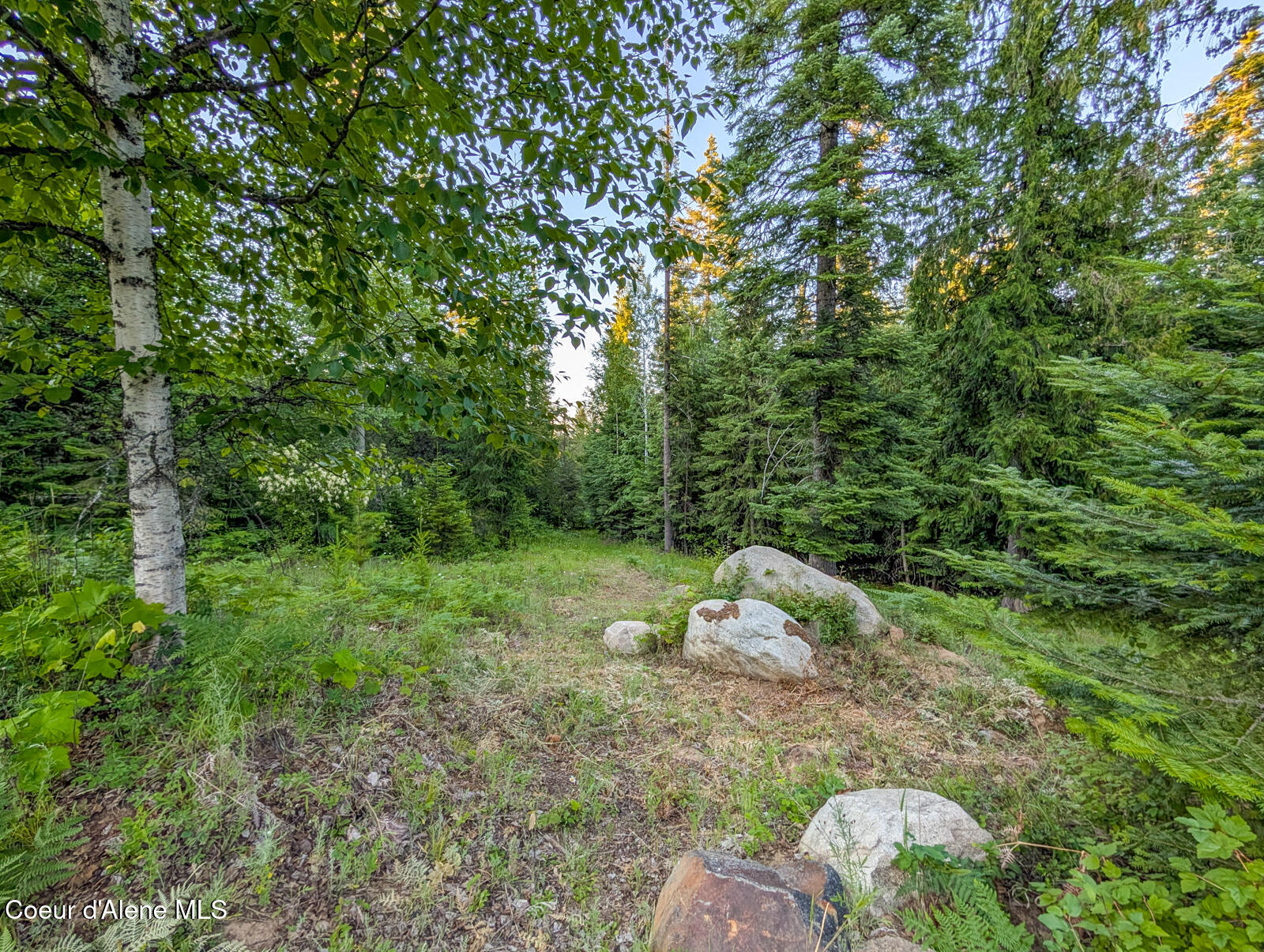 699 Granite Ridge Road Priest River, ID 83856 - Photo 4 of 25 699 Granite Ridge-4