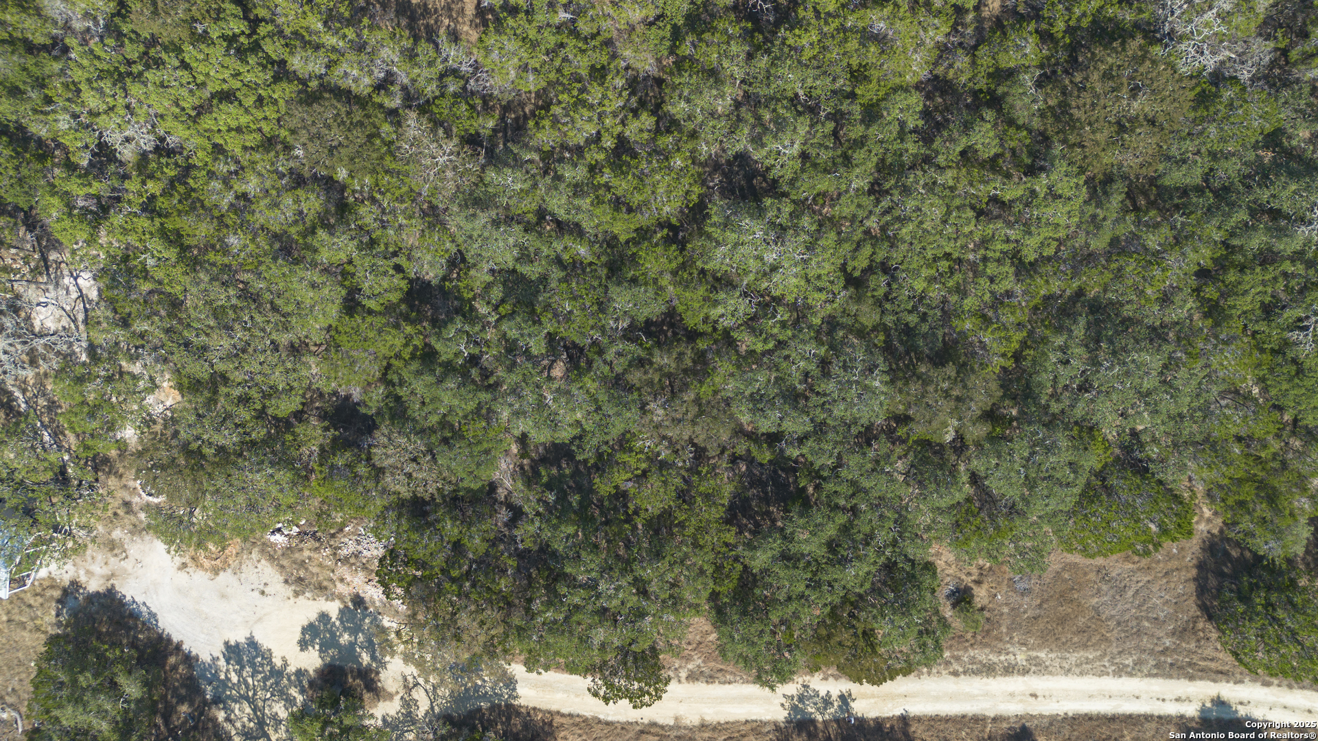 154 Fore Drive Spring Branch, TX 78070 - Photo 12 of 12 a view of a forest with large trees