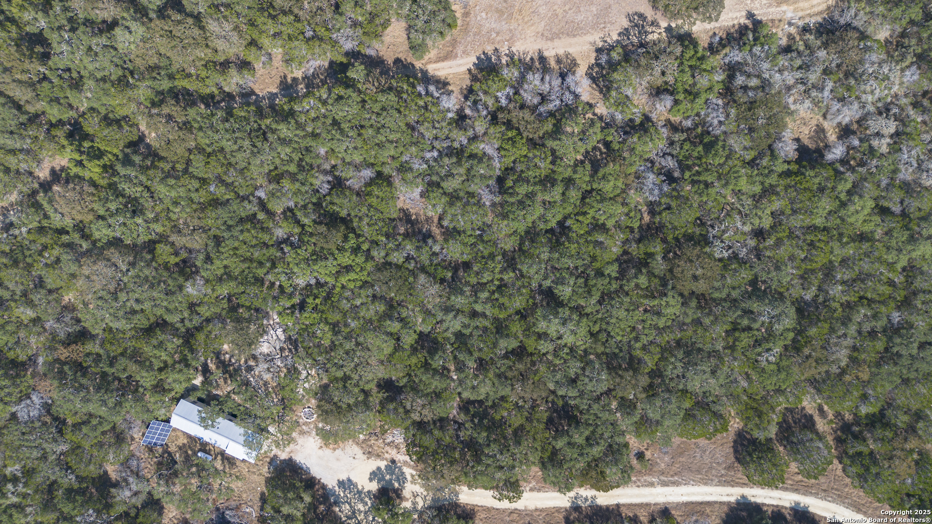 154 Fore Drive Spring Branch, TX 78070 - Photo 2 of 12 a view of a forest with a tree