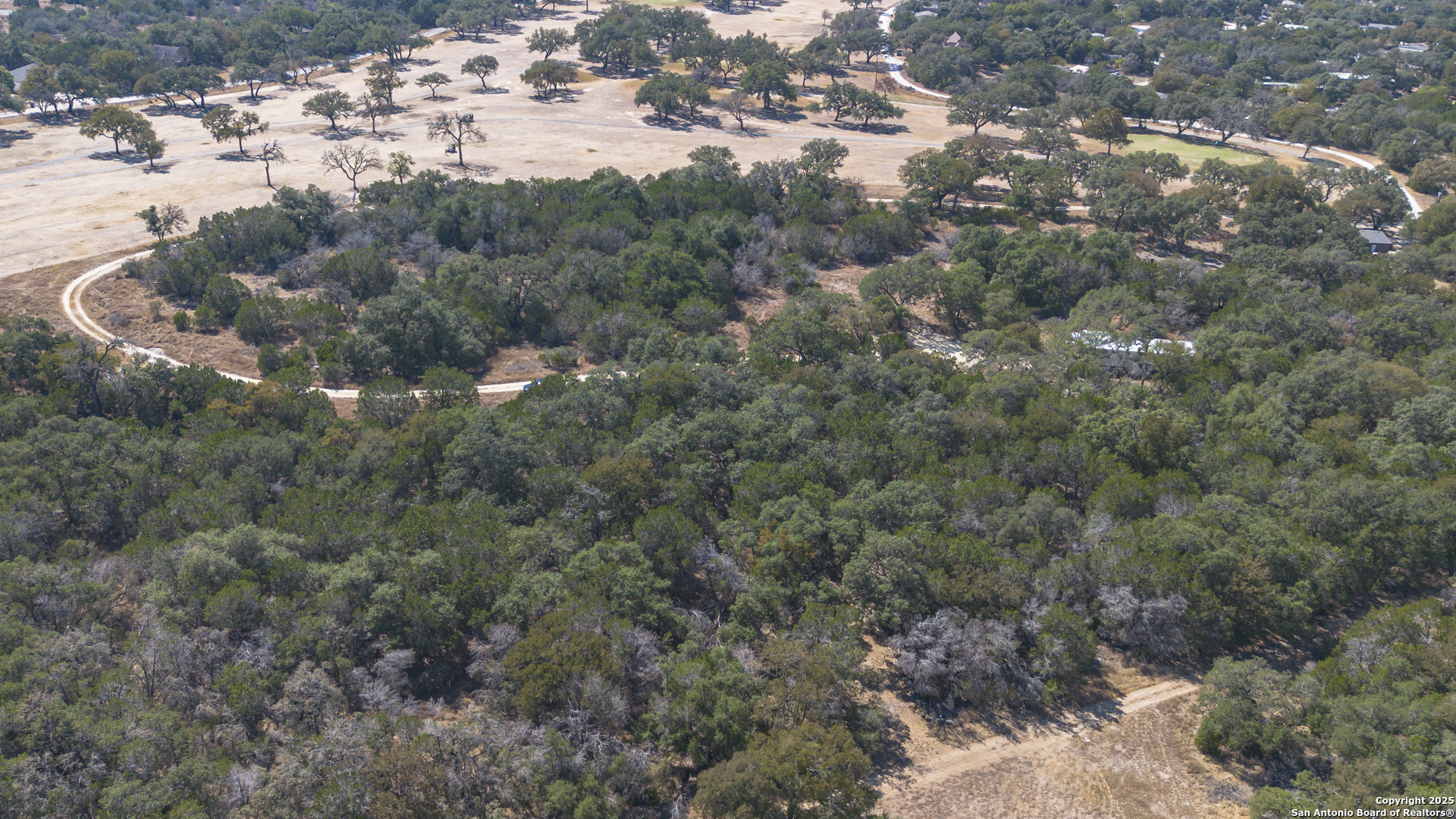154 Fore Drive Spring Branch, TX 78070 - Photo 6 of 12 a view of a forest with a street