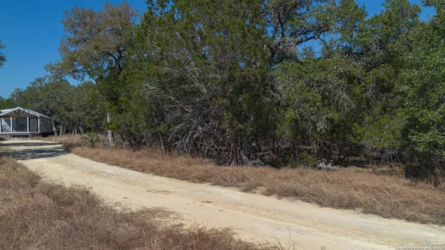 a view of a city with green space