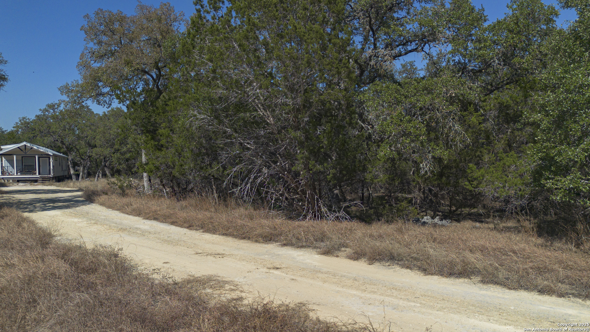 154 Fore Drive Spring Branch, TX 78070 - Photo 10 of 12 a view of backyard with green space