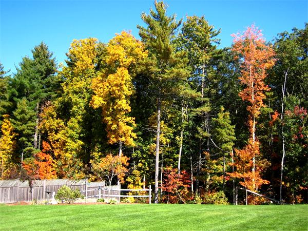 64 Grist Mill Road Littleton, MA 01460 - Photo 23 of 24 Gallery Image 23