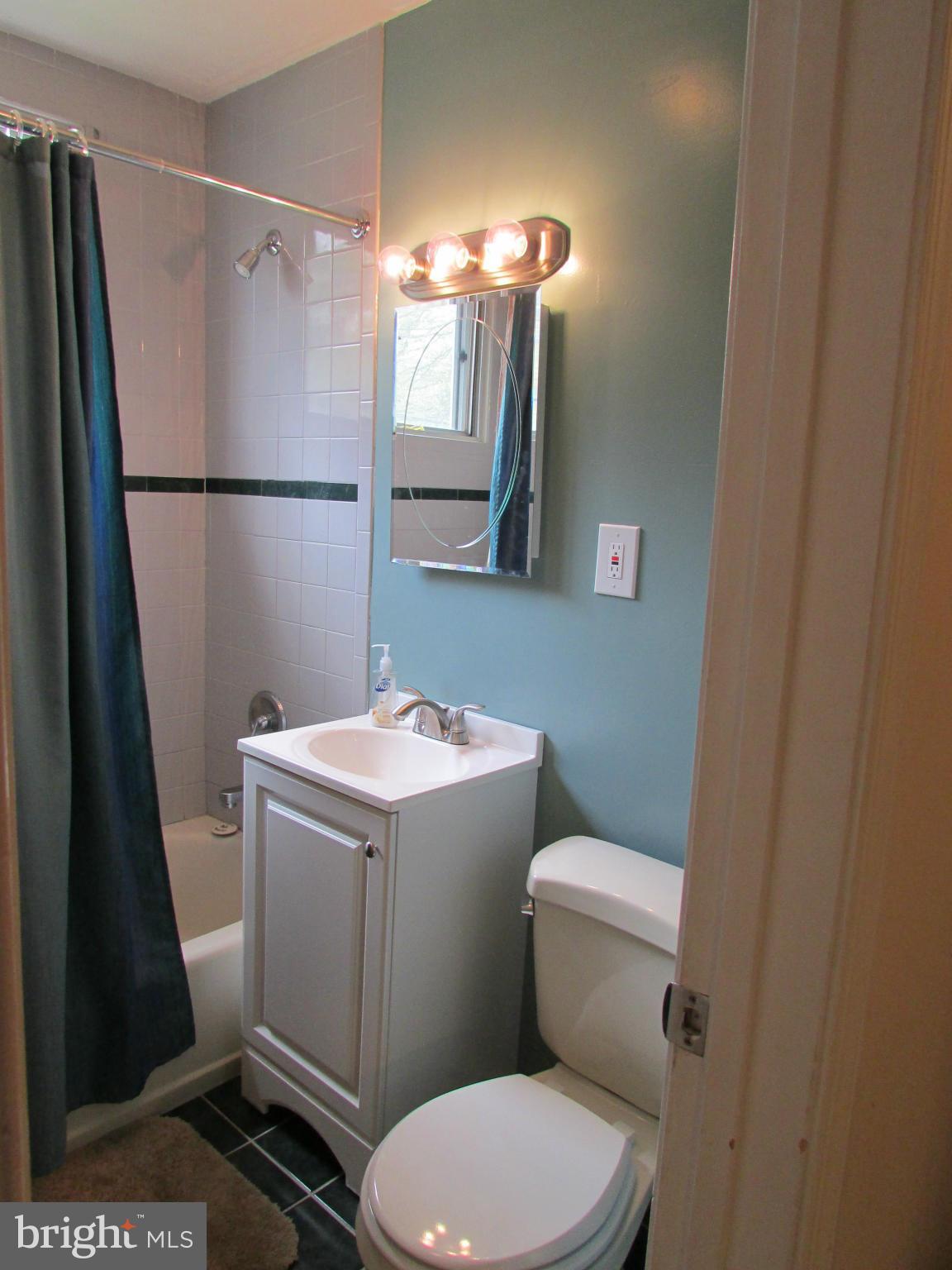 62 Ridge Road, Unit E Greenbelt, MD 20770 - Photo 10 of 13 Bath