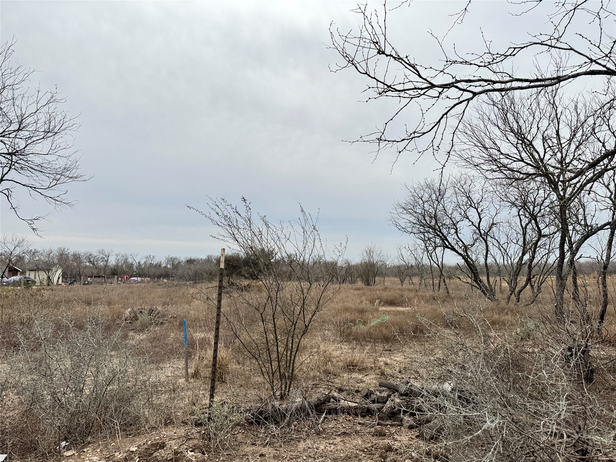 1505 Barth Road Dale, TX 78616 - Photo 2 of 6 a view of a dry yard covered with snow