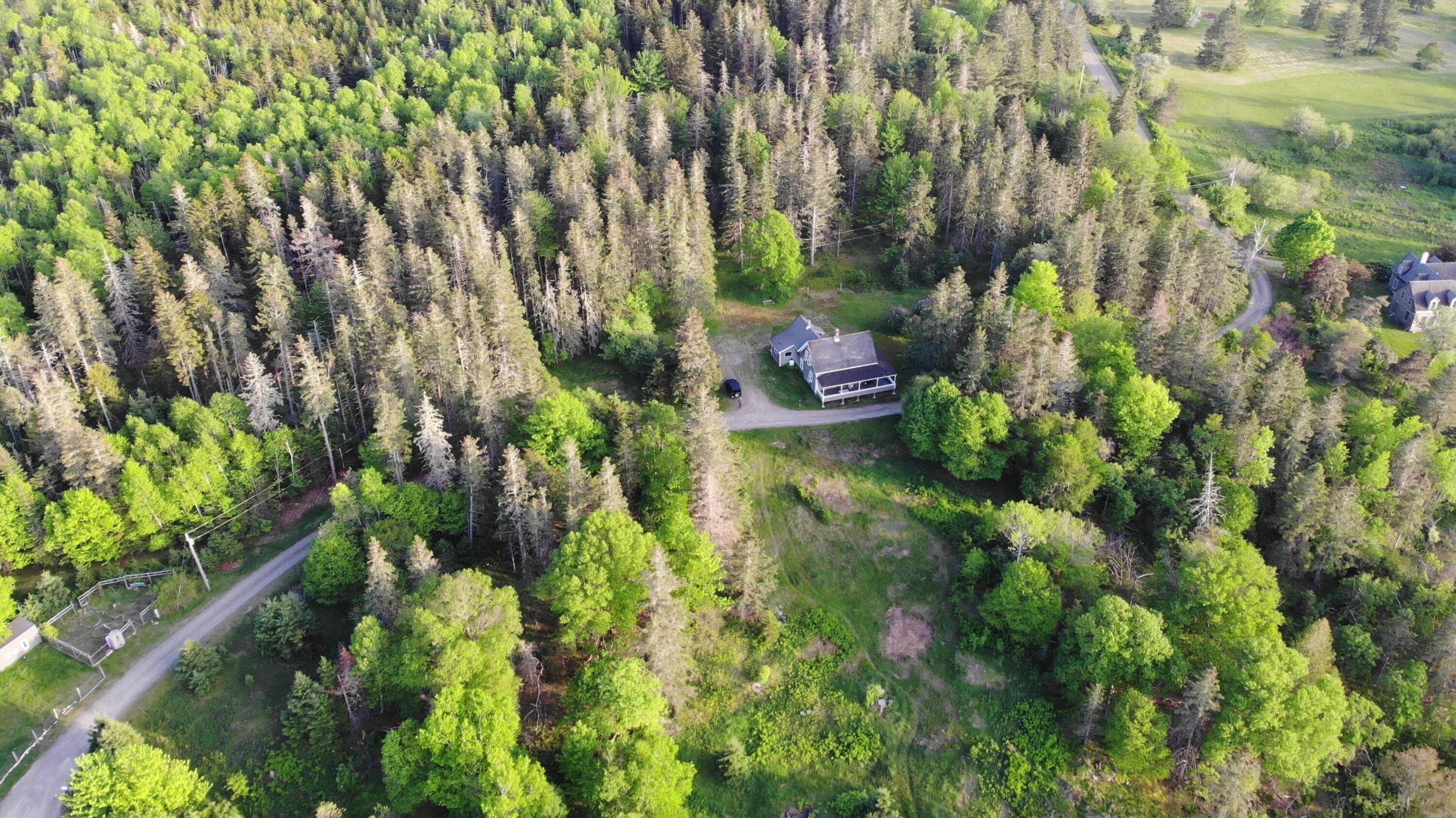 45 Kendall Head Road Eastport, ME 04631 - Photo 60 of 117 DJI_0146 - frame at 1m3s