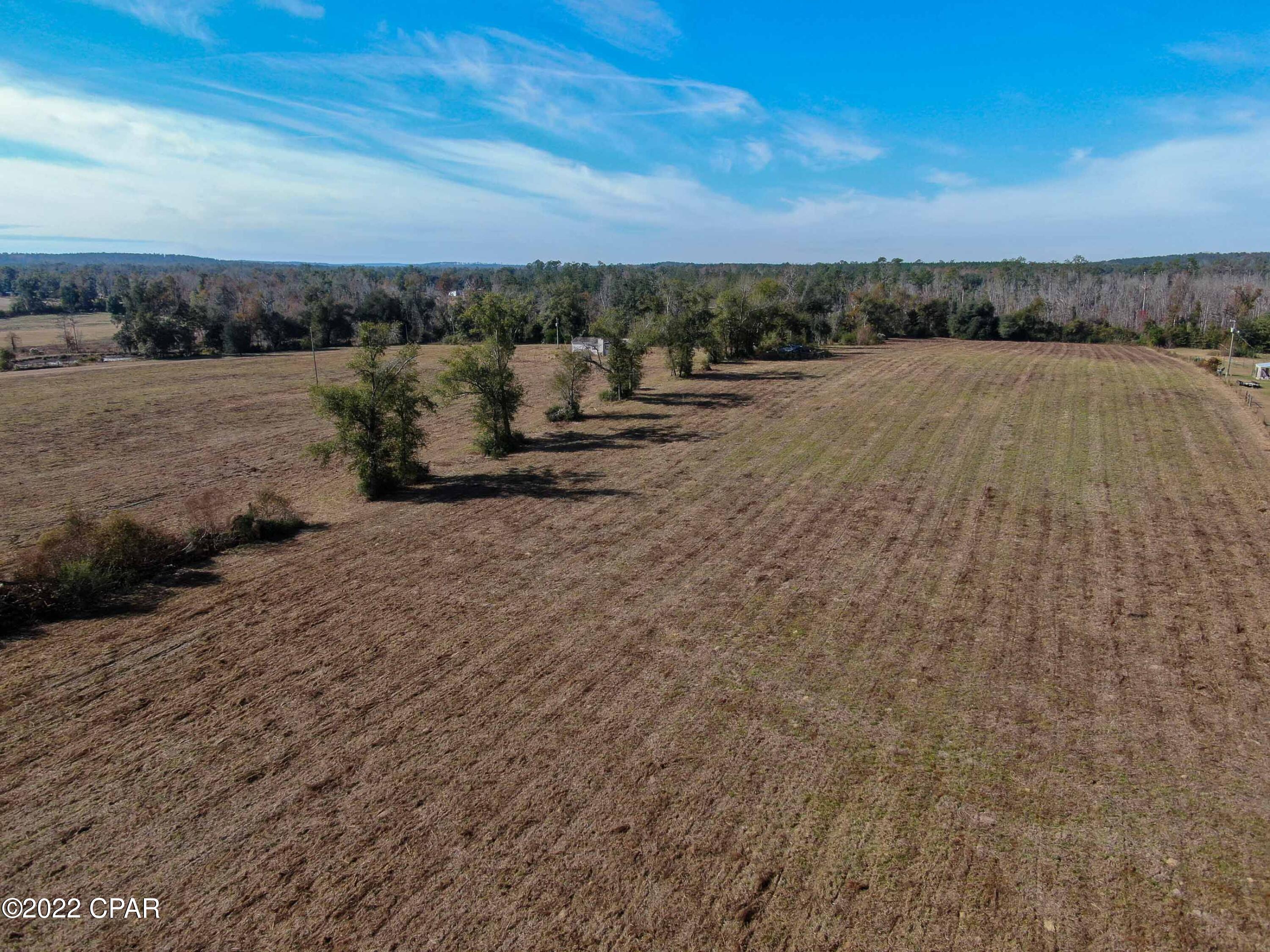 2196 Archie Sapp Road Alford, FL 32420 - Photo 26 of 39