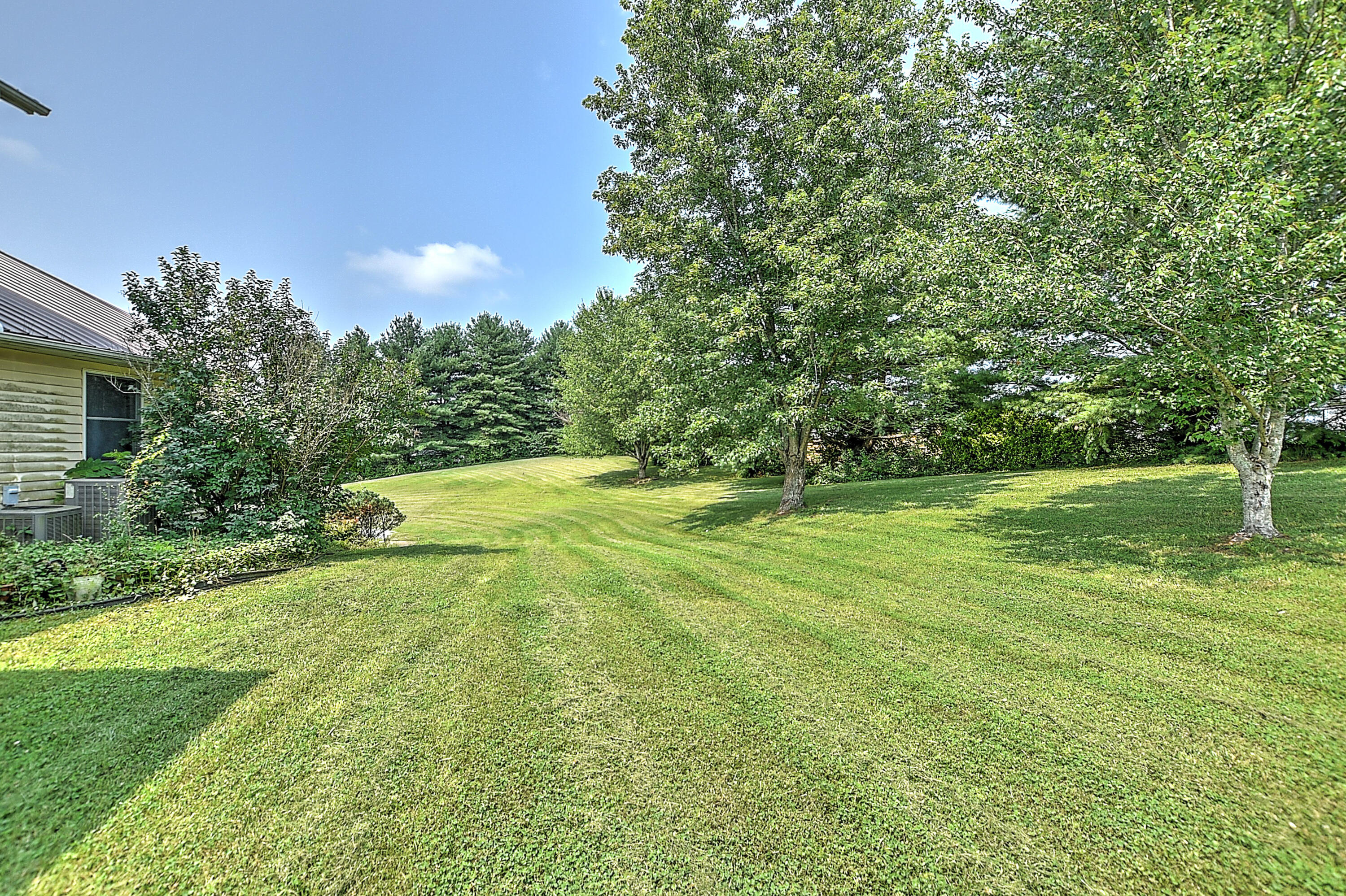 3019 Buckingham Road Greeneville, TN 37745 - Photo 44 of 46 3029 Buckingham-44