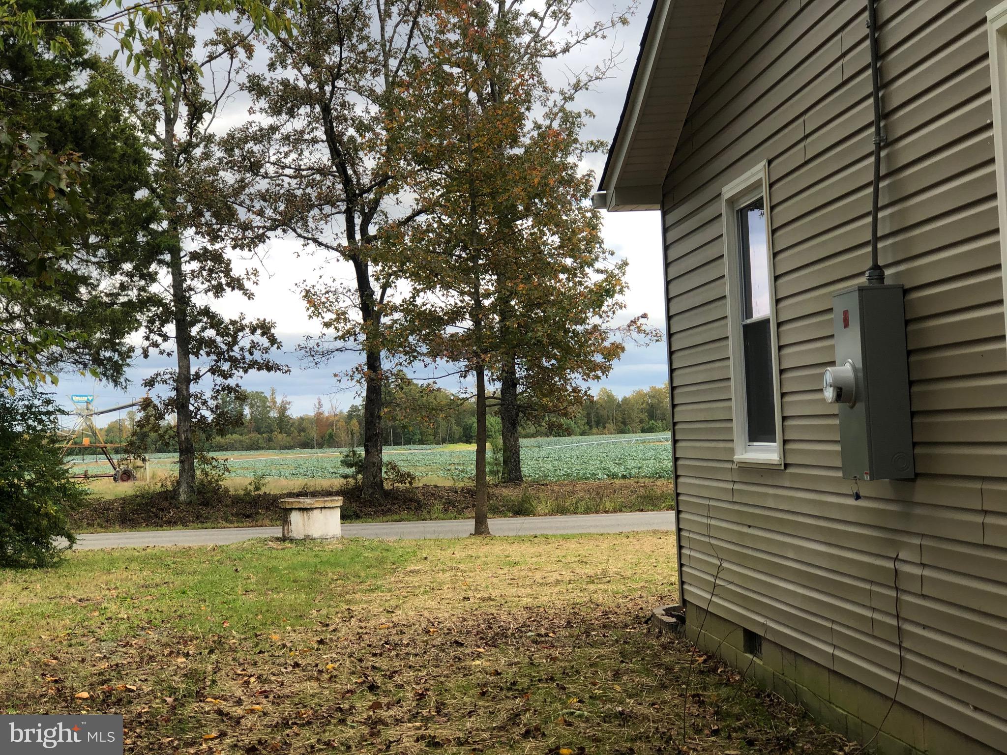 32194 Mt Gideon Road Hanover, VA 23069 - Photo 21 of 56