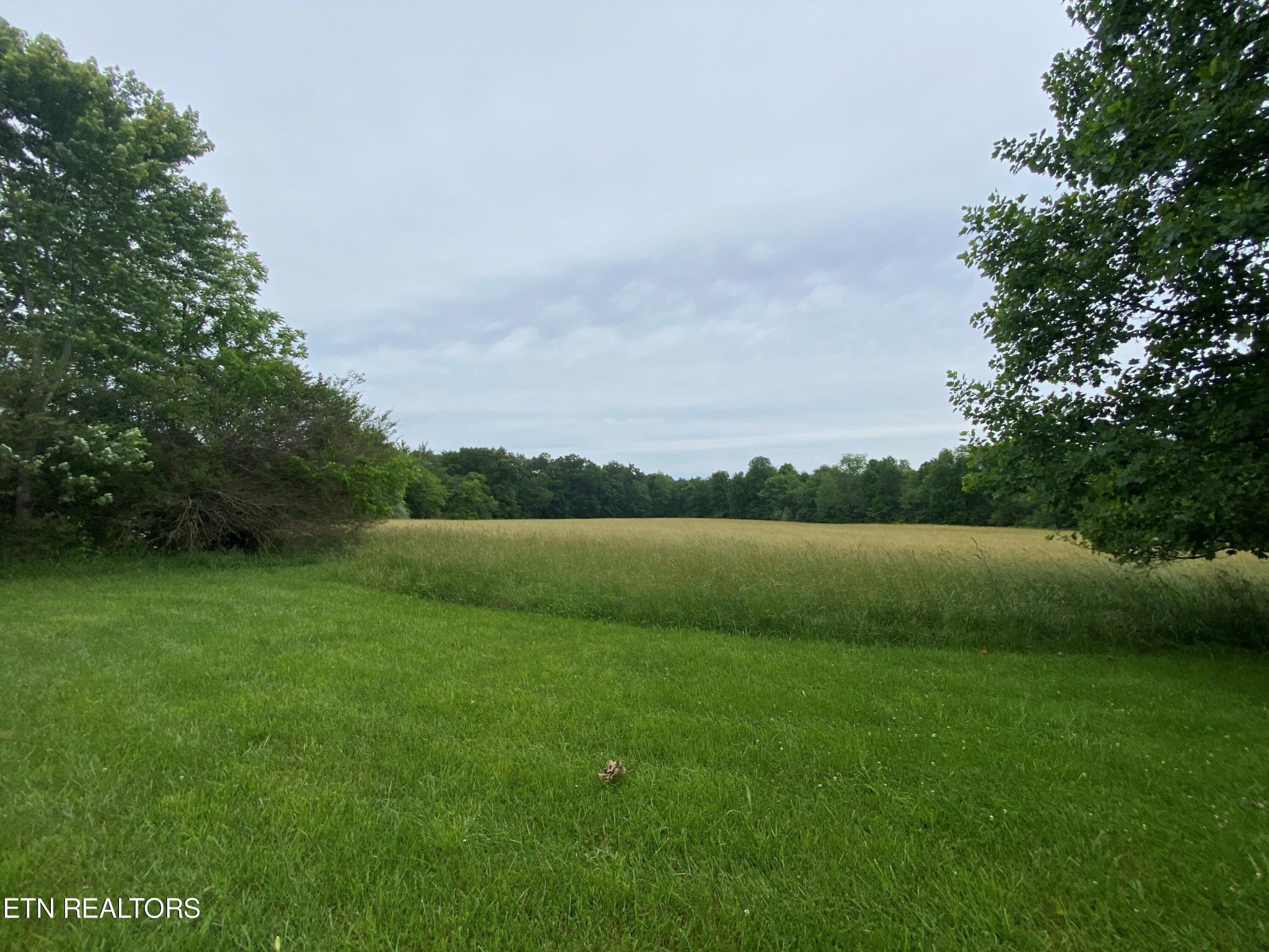 961 Deep Draw Road Crossville, TN 38555 - Photo 46 of 47 Gallery Image 46