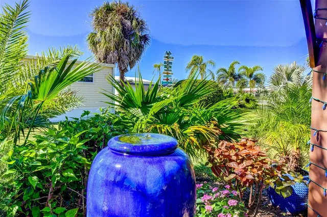 a view of a bunch of flowers