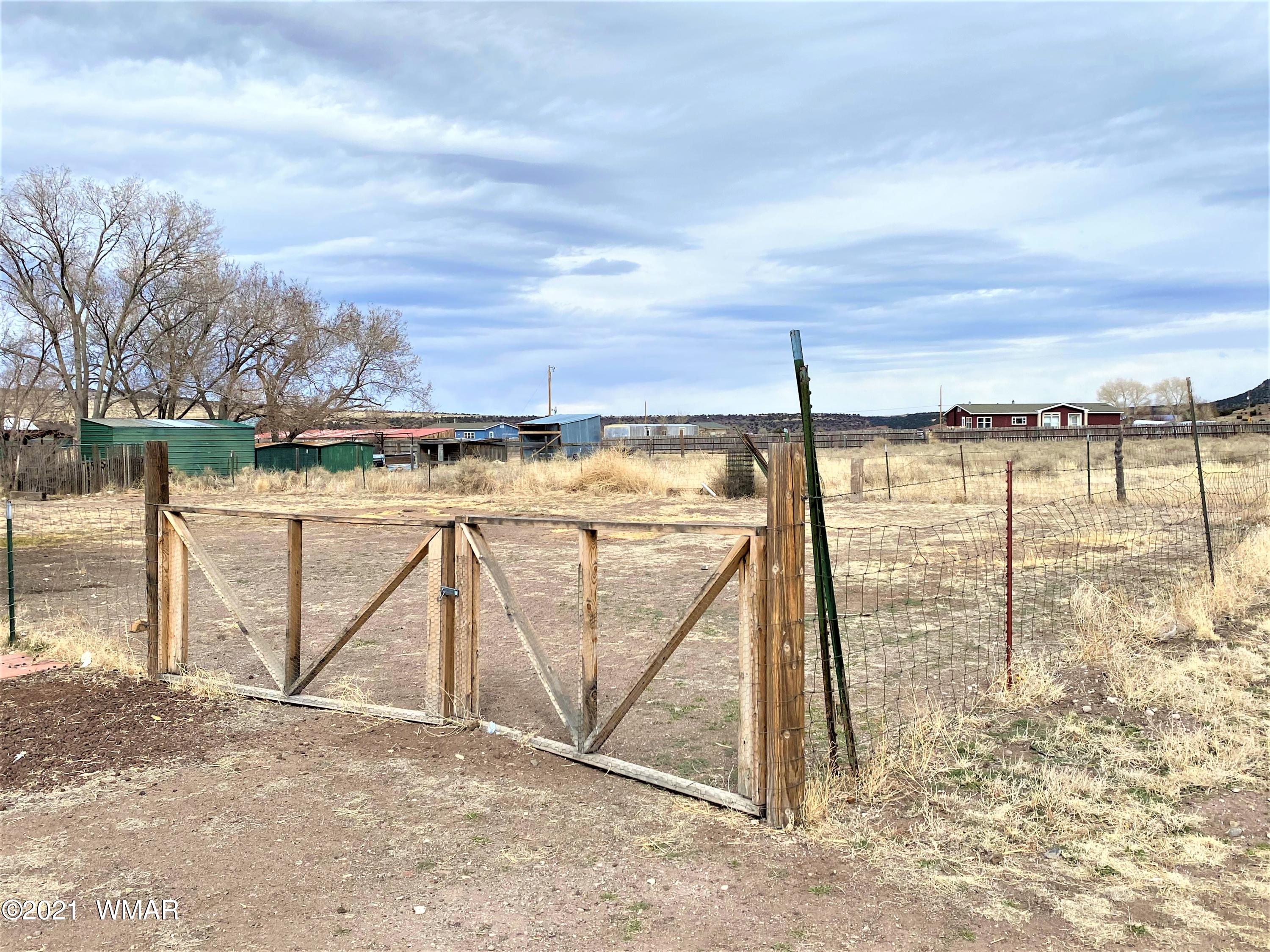 430 Tumbling T Drive Springerville, AZ 85938 - Photo 3 of 18