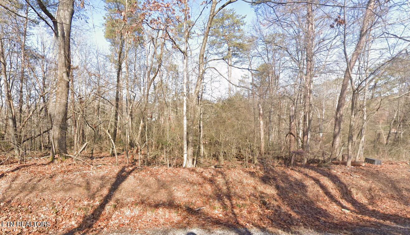 109 Chanusi Way Loudon, TN 37774 - Photo 2 of 3 109 Chanusi