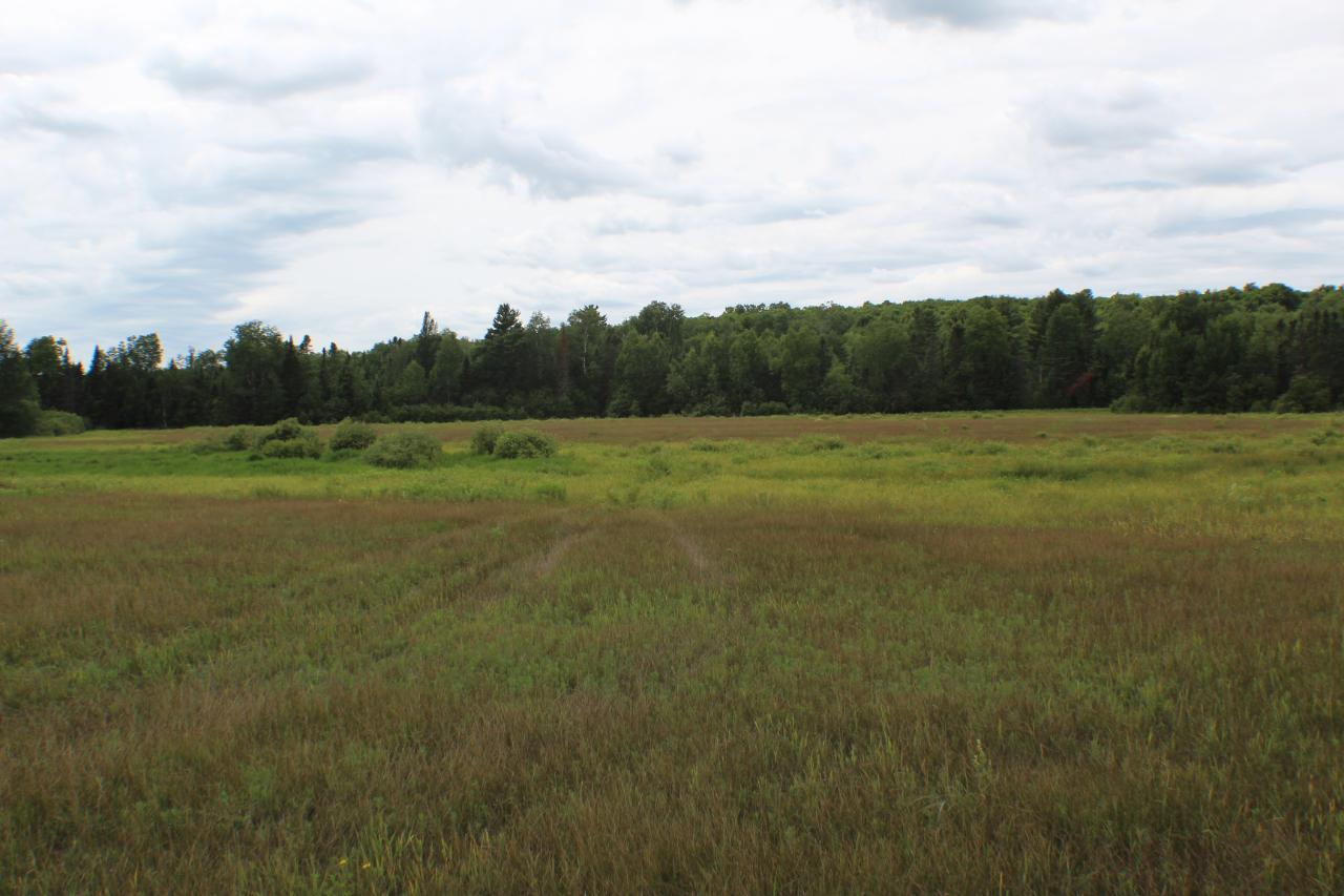 On Mertig Road, Unit 150 ACRES Glidden, WI 54527 - Photo 43 of 48 Gallery Image 43