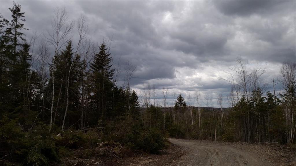 0 Old County Road Pembroke, ME 04666 - Photo 4 of 6 Photo