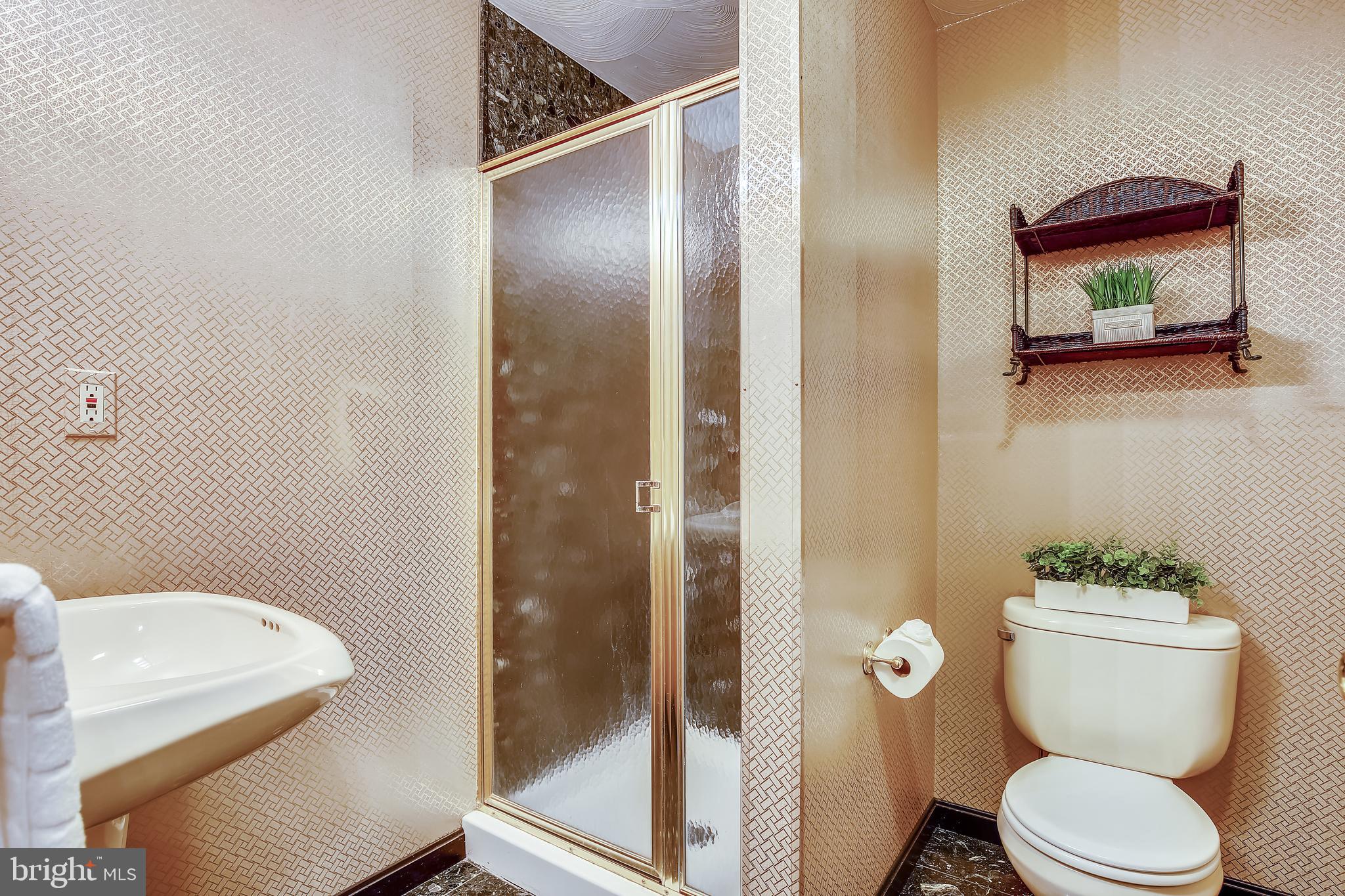 10176 Red Spruce Road Fairfax, VA 22032 - Photo 42 of 87 Lower level full bath.