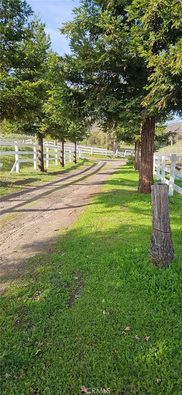 33555 Merrill Ranch Knights Landing, CA 95645 - Photo 3 of 4 a view of a big yard with an trees