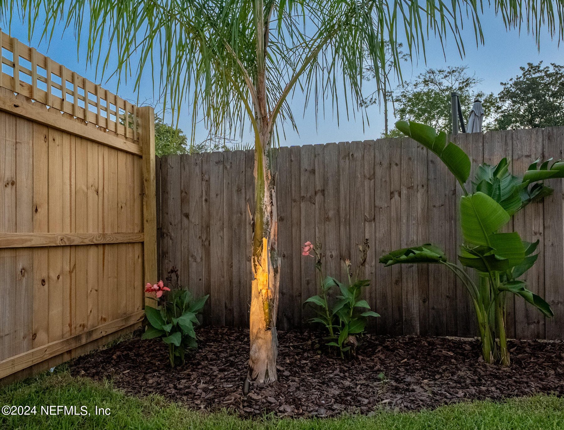 708 Palm Tree Road Jacksonville Beach, FL 32250 - Photo 55 of 61 708 Palm Tree Rd Night Shots Edit-36