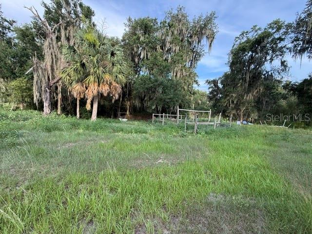 Pool Branch Road Fort Meade, FL 33841 - Photo 4 of 15 a view of a park with large trees