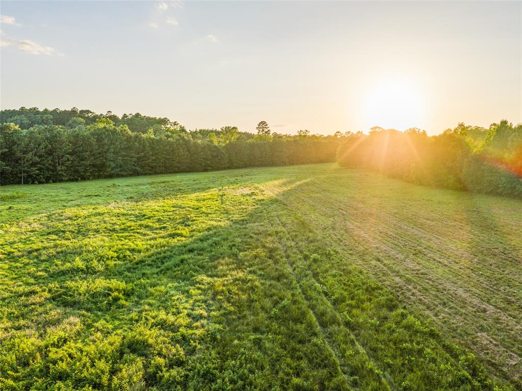 9822 Nasturtium Road Ore City, TX 75683 - Photo 15 of 30