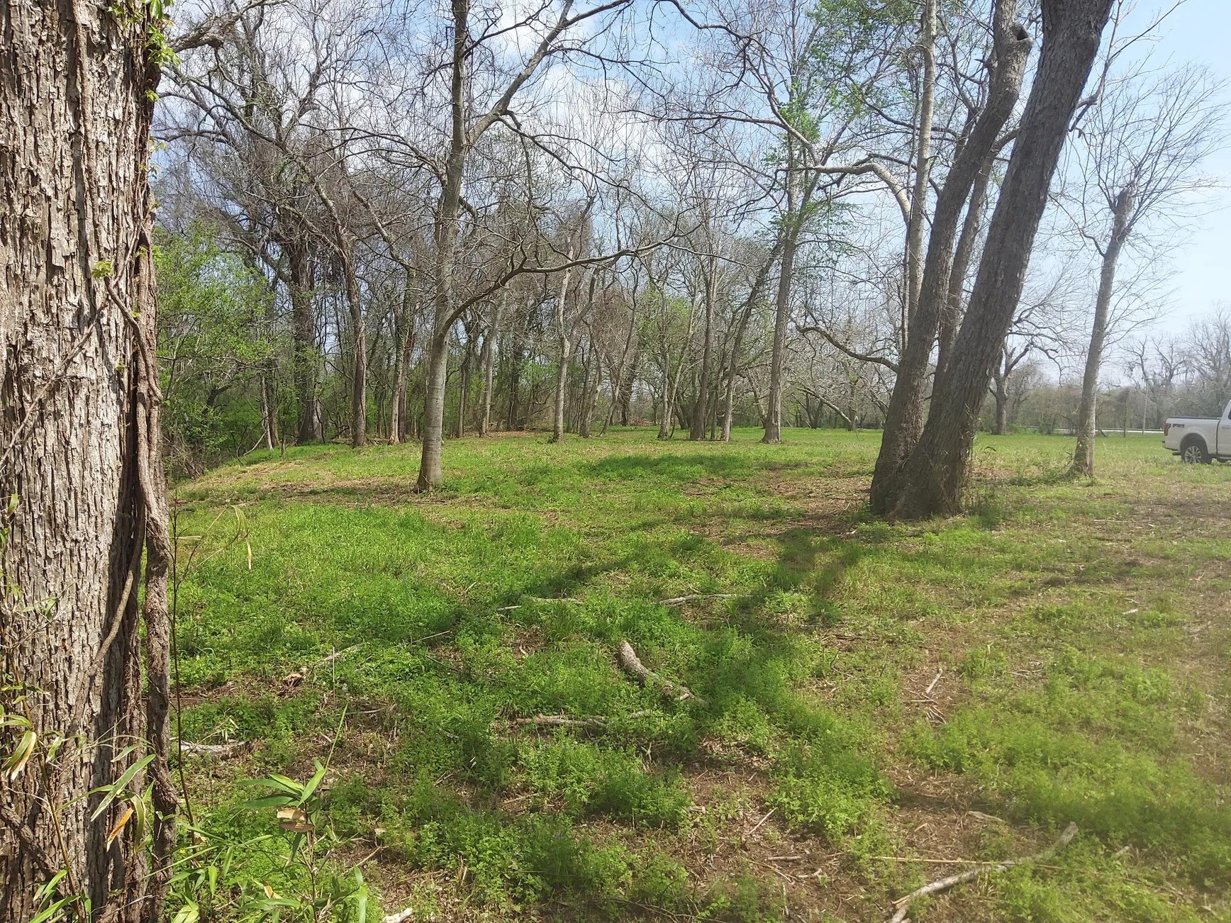Lot 1 FM 521 Road Angleton, TX 77515 - Photo 19 of 34