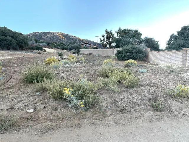 a view of an outdoor space and a yard