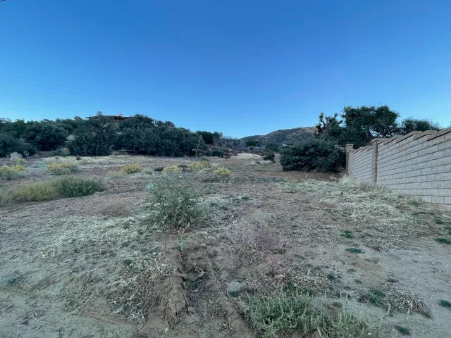 a bathroom with a shower curtain and a sink