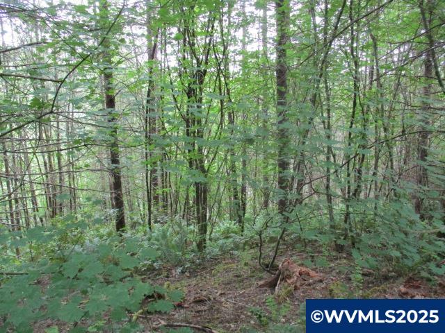 0 Gruber South Road Estacada, OR 97023 - Photo 24 of 30