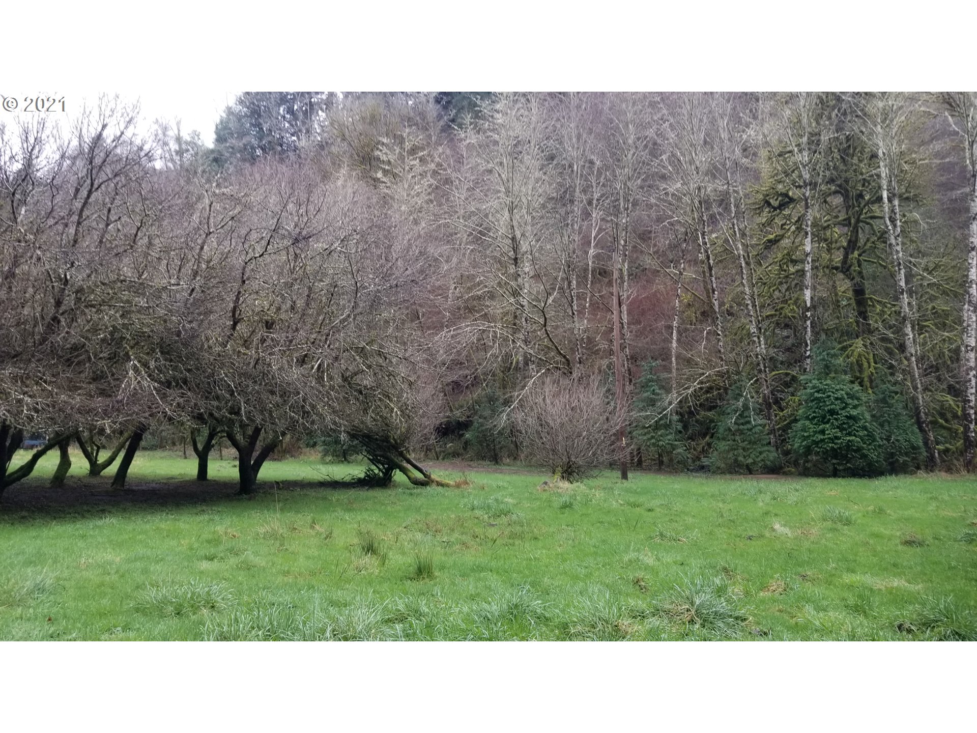 96864 Larson Lane North Bend, OR 97459 - Photo 2 of 31