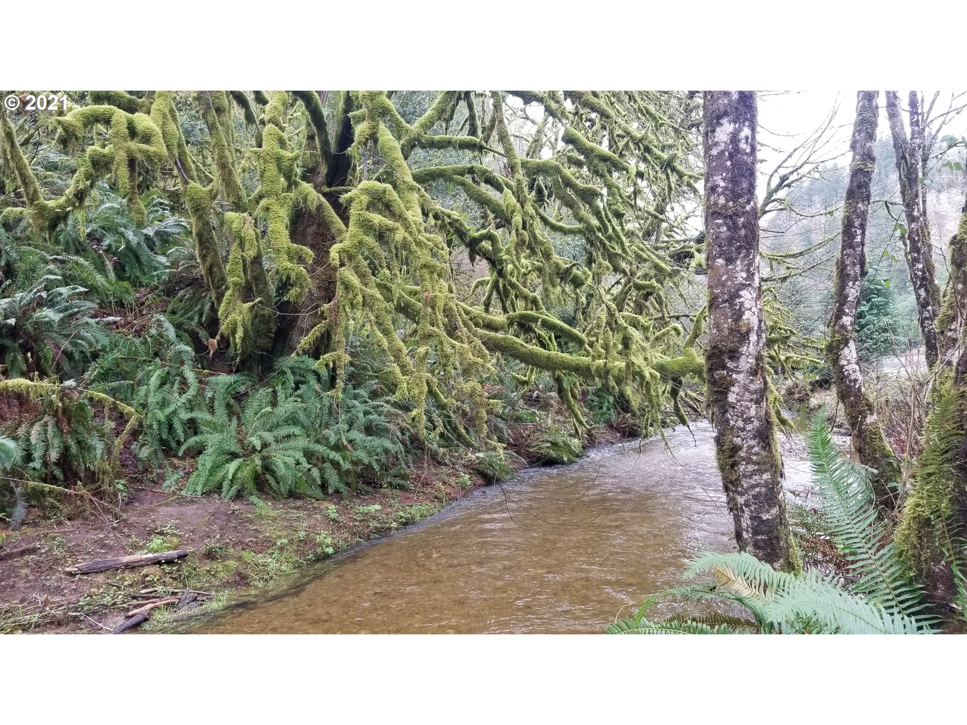 96864 Larson Lane North Bend, OR 97459 - Photo 11 of 31