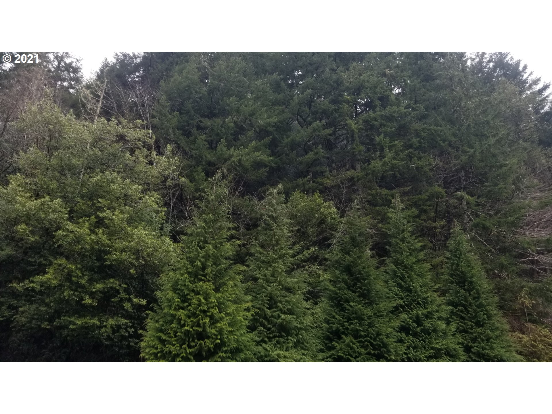 96864 Larson Lane North Bend, OR 97459 - Photo 12 of 31