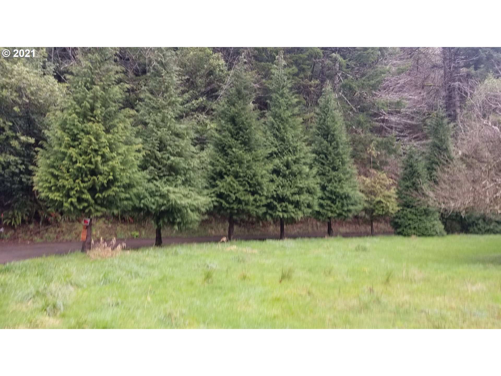 96864 Larson Lane North Bend, OR 97459 - Photo 13 of 31