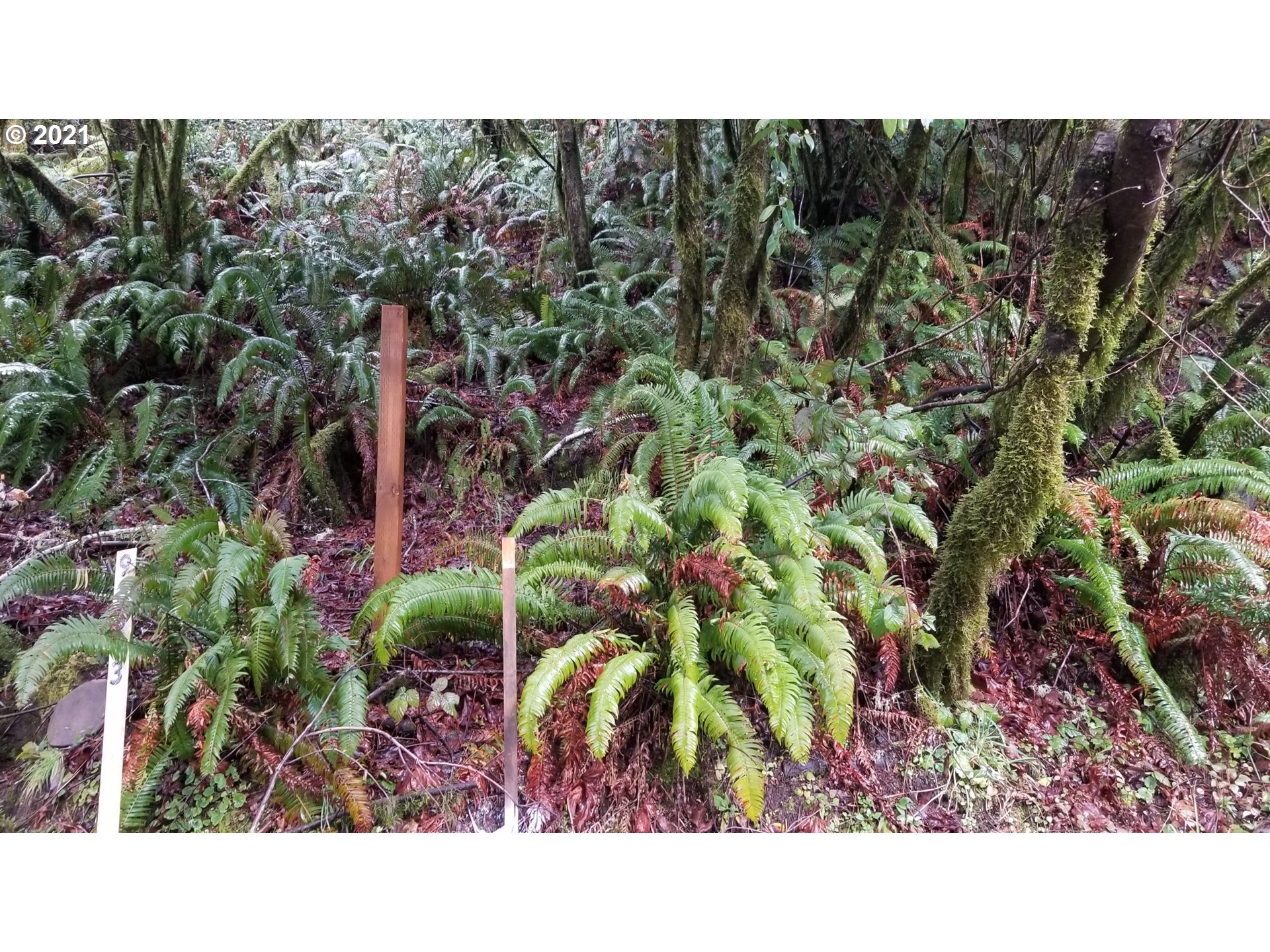 96864 Larson Lane North Bend, OR 97459 - Photo 14 of 31