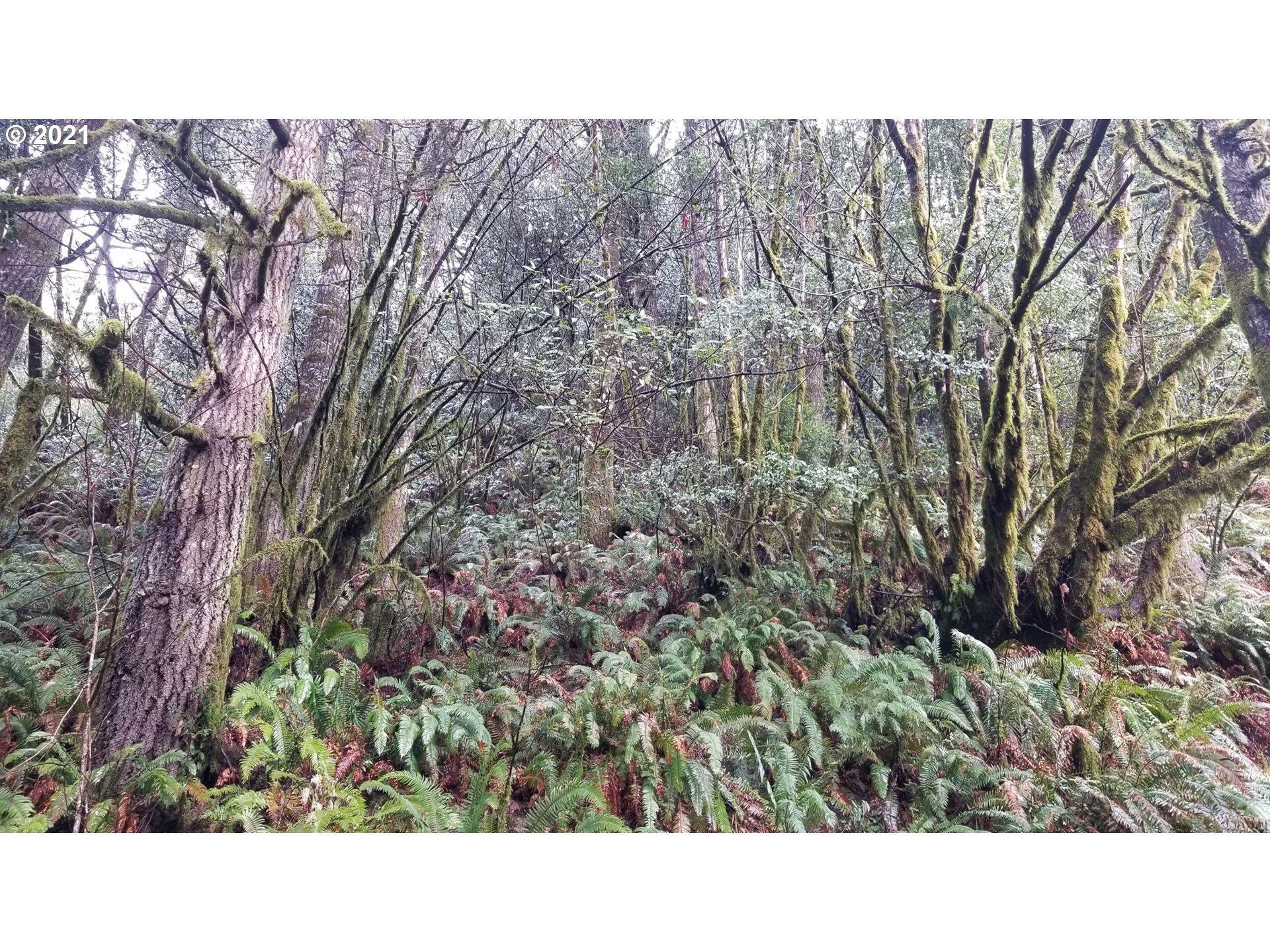 96864 Larson Lane North Bend, OR 97459 - Photo 16 of 31