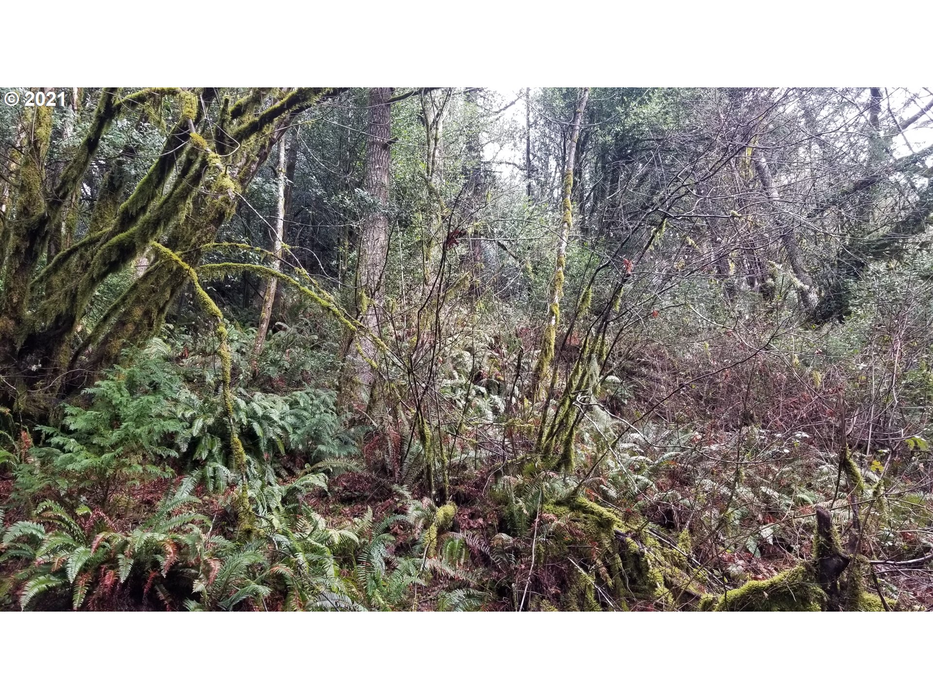 96864 Larson Lane North Bend, OR 97459 - Photo 17 of 31