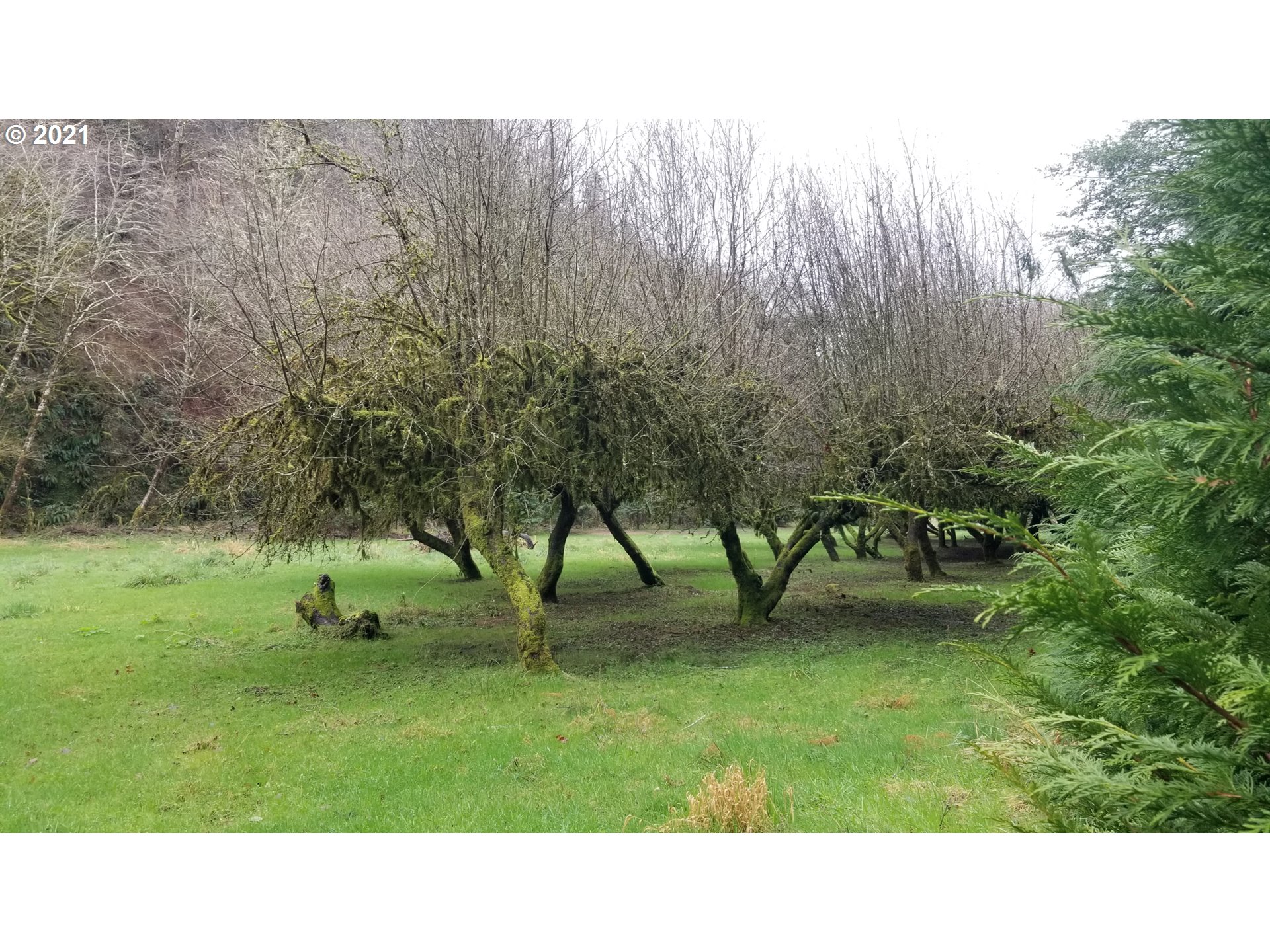 96864 Larson Lane North Bend, OR 97459 - Photo 19 of 31