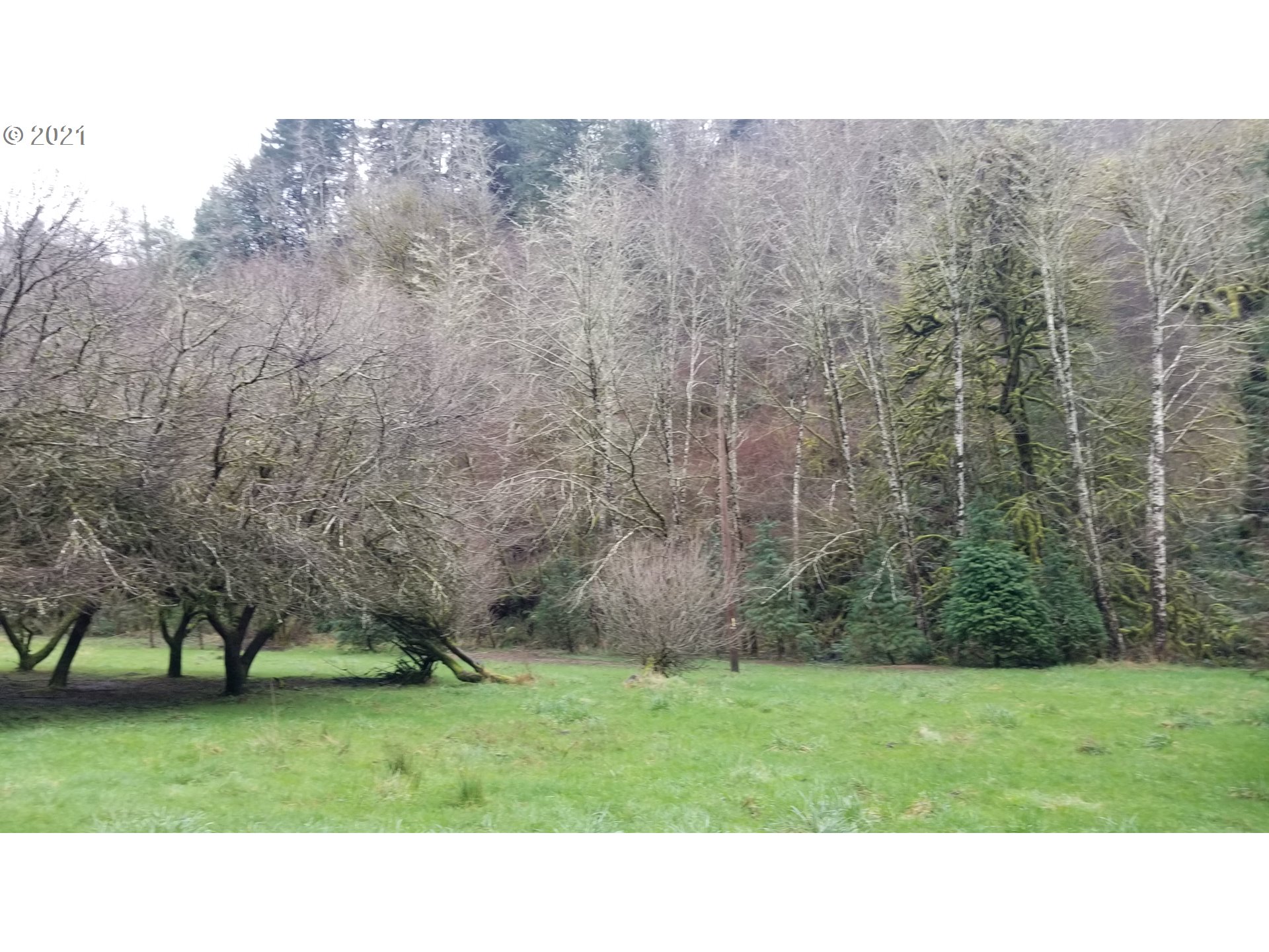 96864 Larson Lane North Bend, OR 97459 - Photo 3 of 31