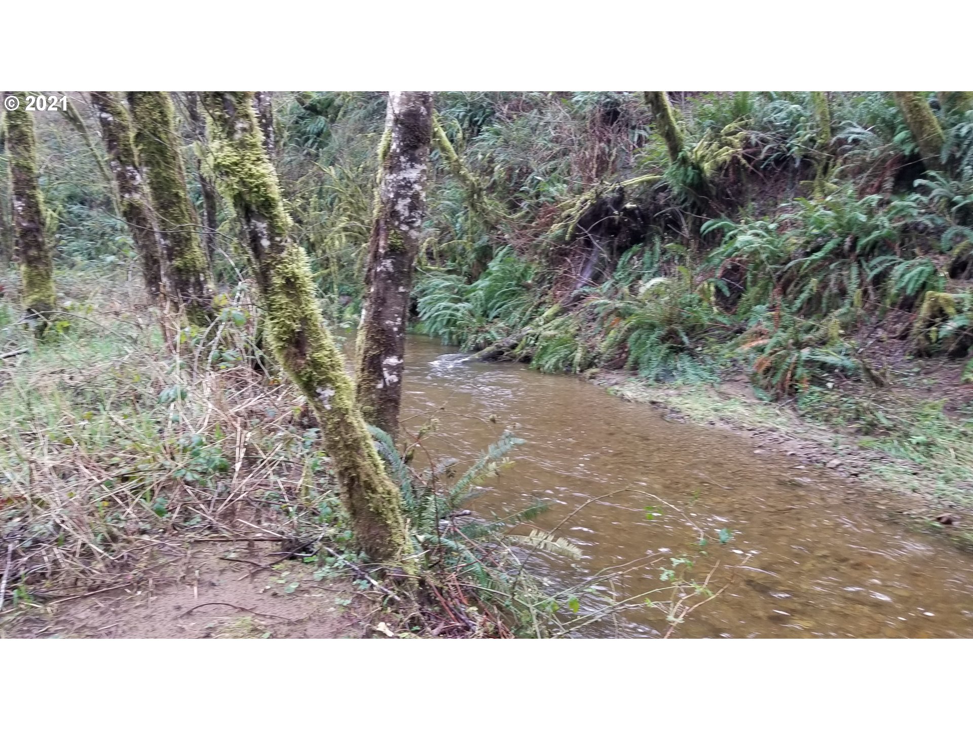 96864 Larson Lane North Bend, OR 97459 - Photo 23 of 31